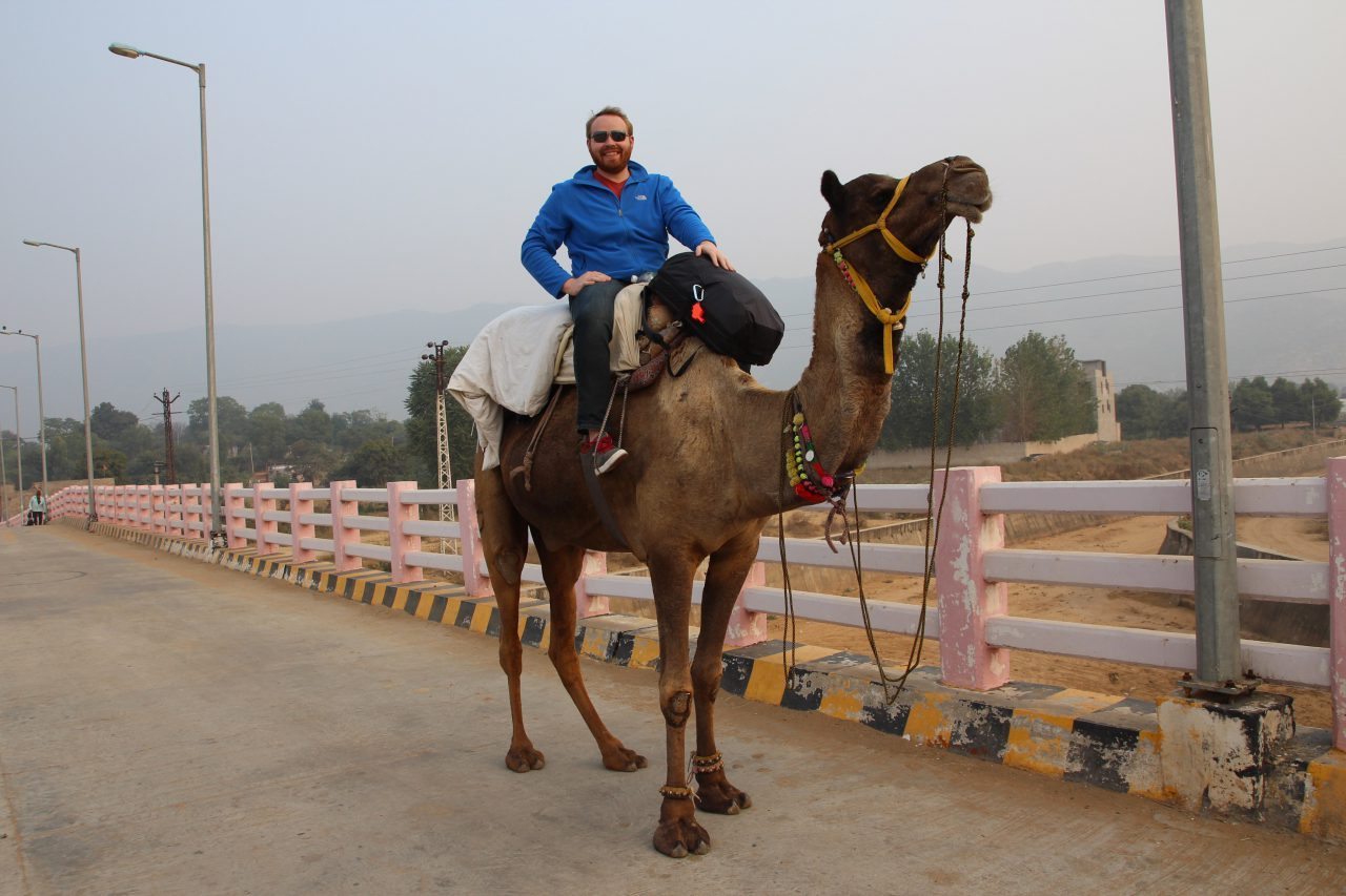 Pushkar Rajasthan India On Camel