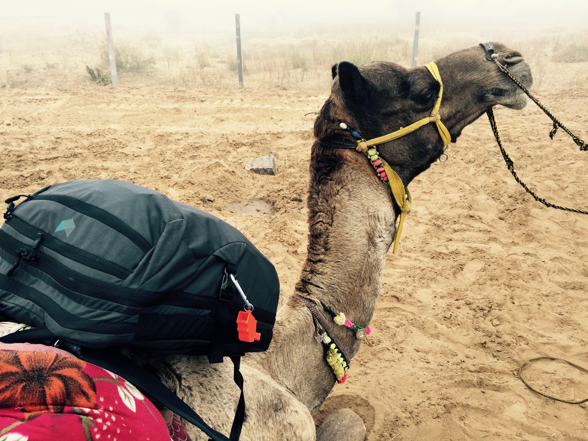 Travel Advice To Rajasthan India