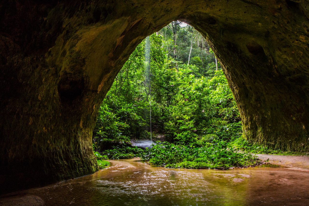 Caves of the Amazon Rain Forest in Brazil