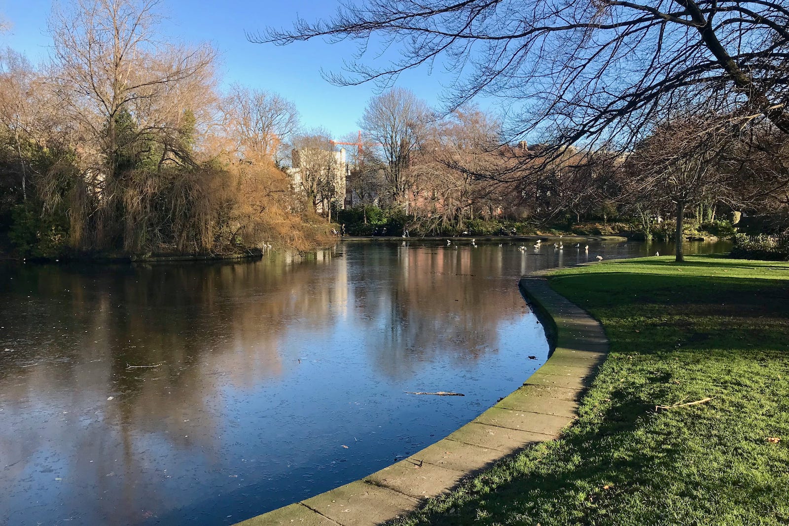 A winter view of a pond in St. Stephen's Green with blue skies