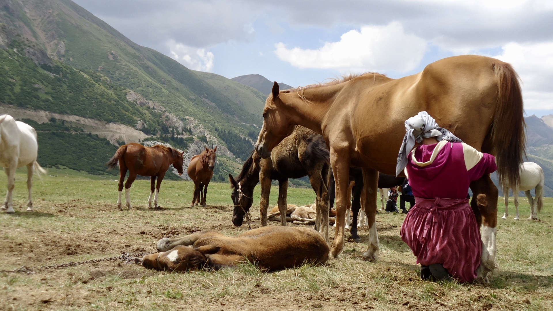 The Without a Path Podcast asked me to share travel advice in Kyrgyzstan