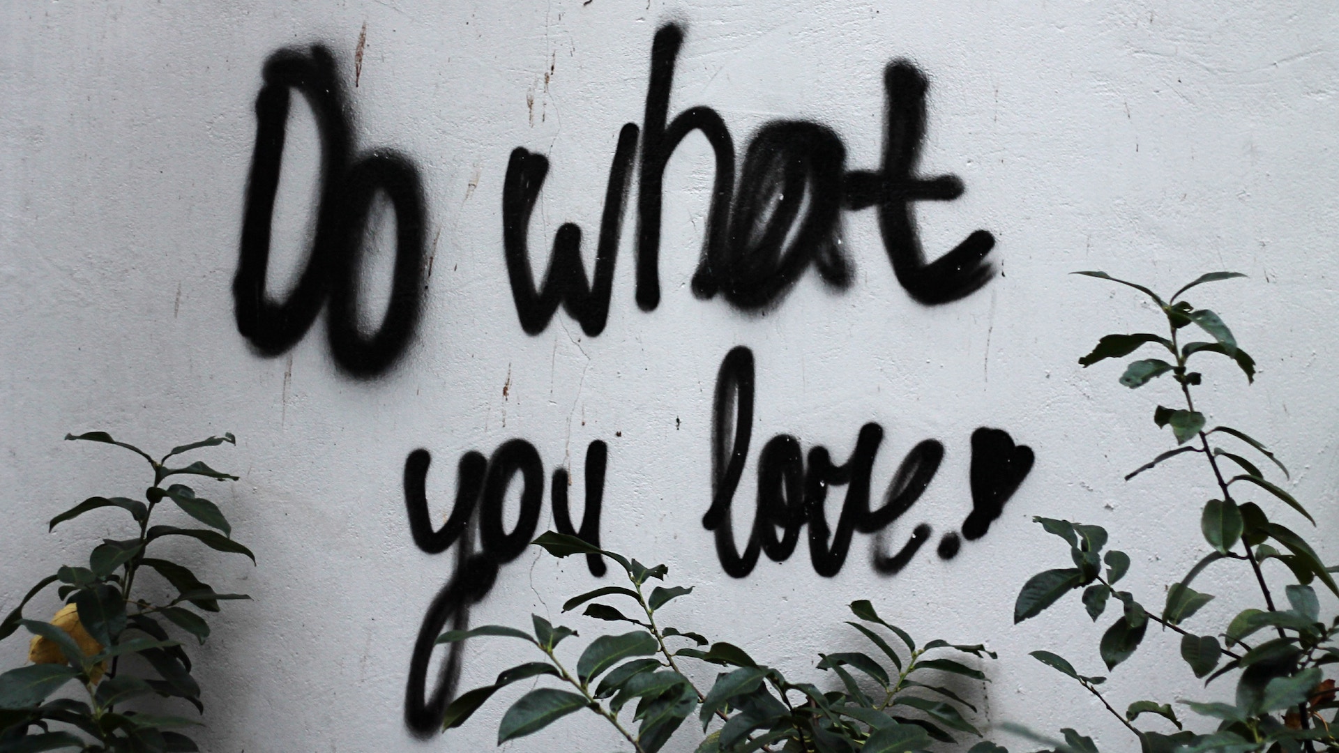 Find your 